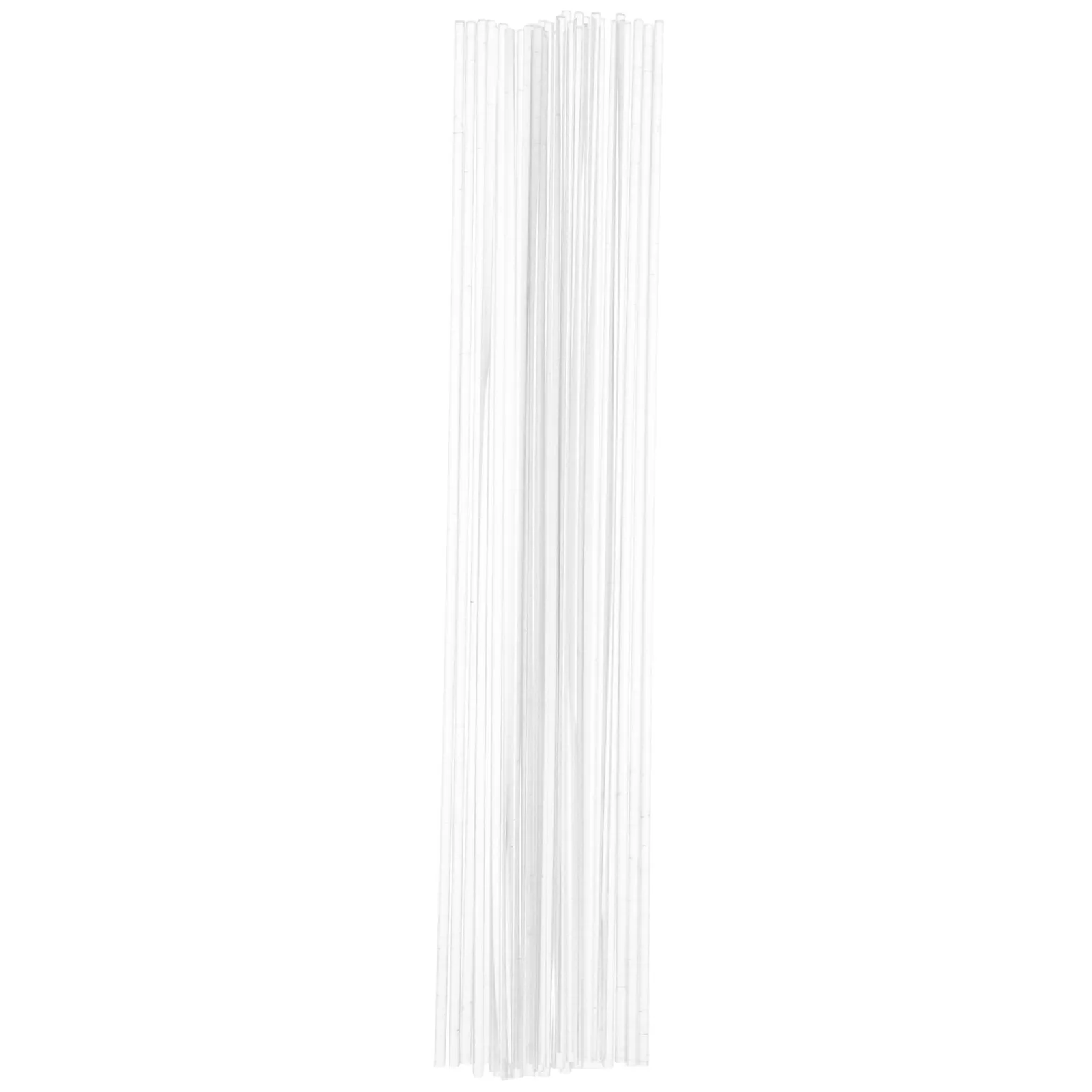 30Pcs 2Mm Transparent Acrylic Rods Thin Round Craft Sticks for Clay Figure Support DIY Display Shelf Organization Cake Topper