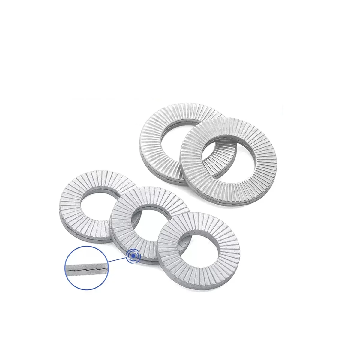 304 Stainless Steel Double Layer Oversized Self-Locking Tooth Lock Washer