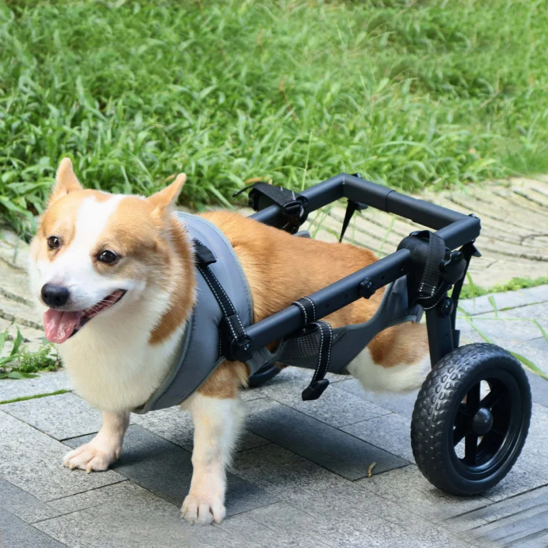 عربة مساعدة للمشي لإعادة تأهيل الكراسي المتحركة المتوسطة والكبيرة، مساعدة الطاقة، سكوتر التنقل للكلاب الأليفة