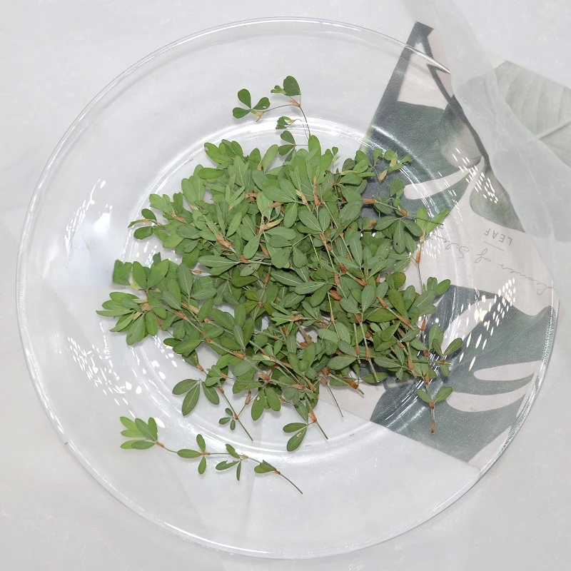 5-10cm/16pcs,Natural dried flower pressed mini grass branches DIY photo frame bookmark table lamp drop glue mobile phone case - Image 4