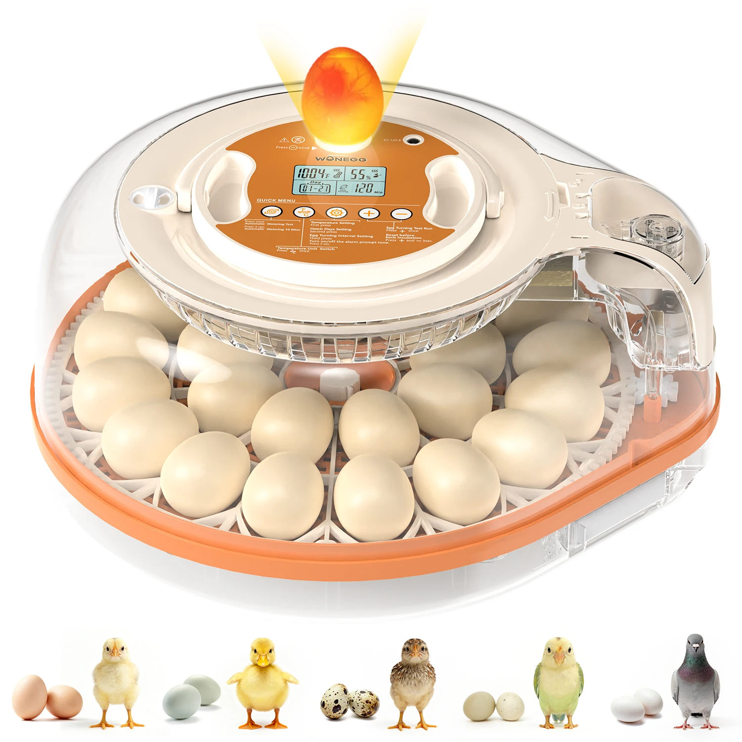 

26 Egg Incubator with Automatic Turning, Temperature and Humidity Control, LED Egg Candler, and Auto Water Addition, for Hatchin