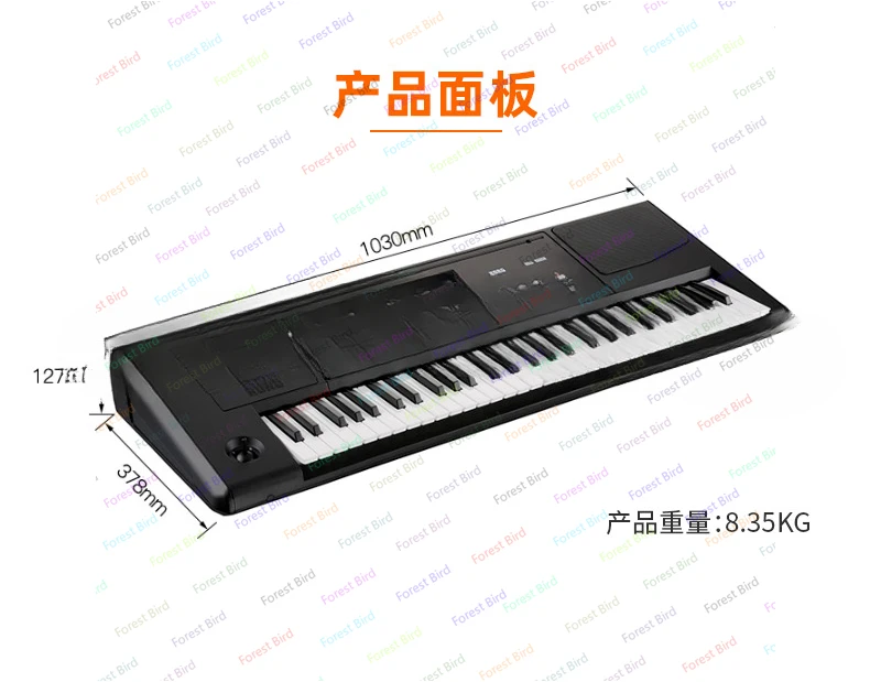 NEW KORG PA 300 PA300 Key Keyboard PA 300 Professional Arranger Piano