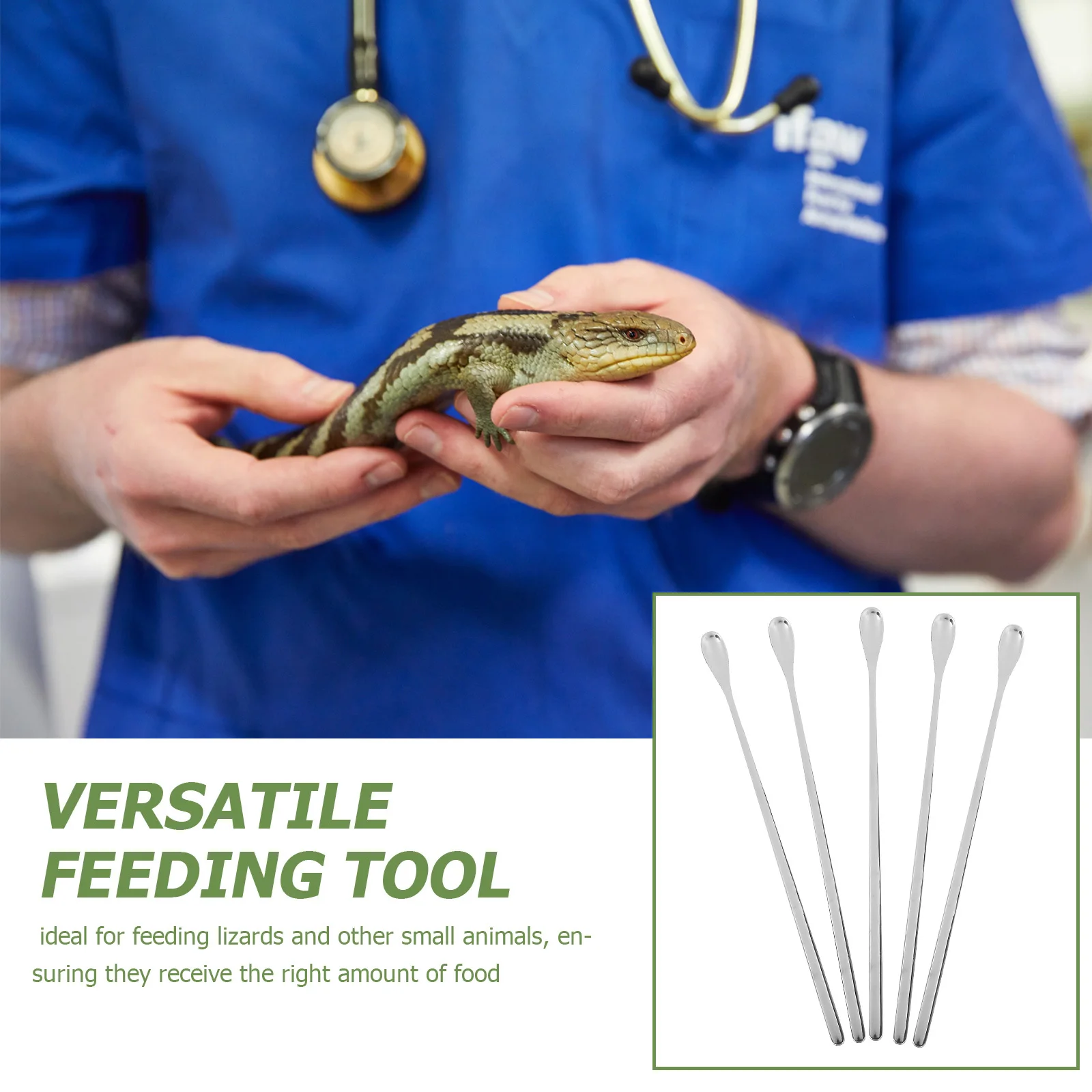 

5Pcs Reptile Food Spoons Lightweight Long Handle Feeding Tool for Small Pet Lizards Reptile Tank Feeding Scoop