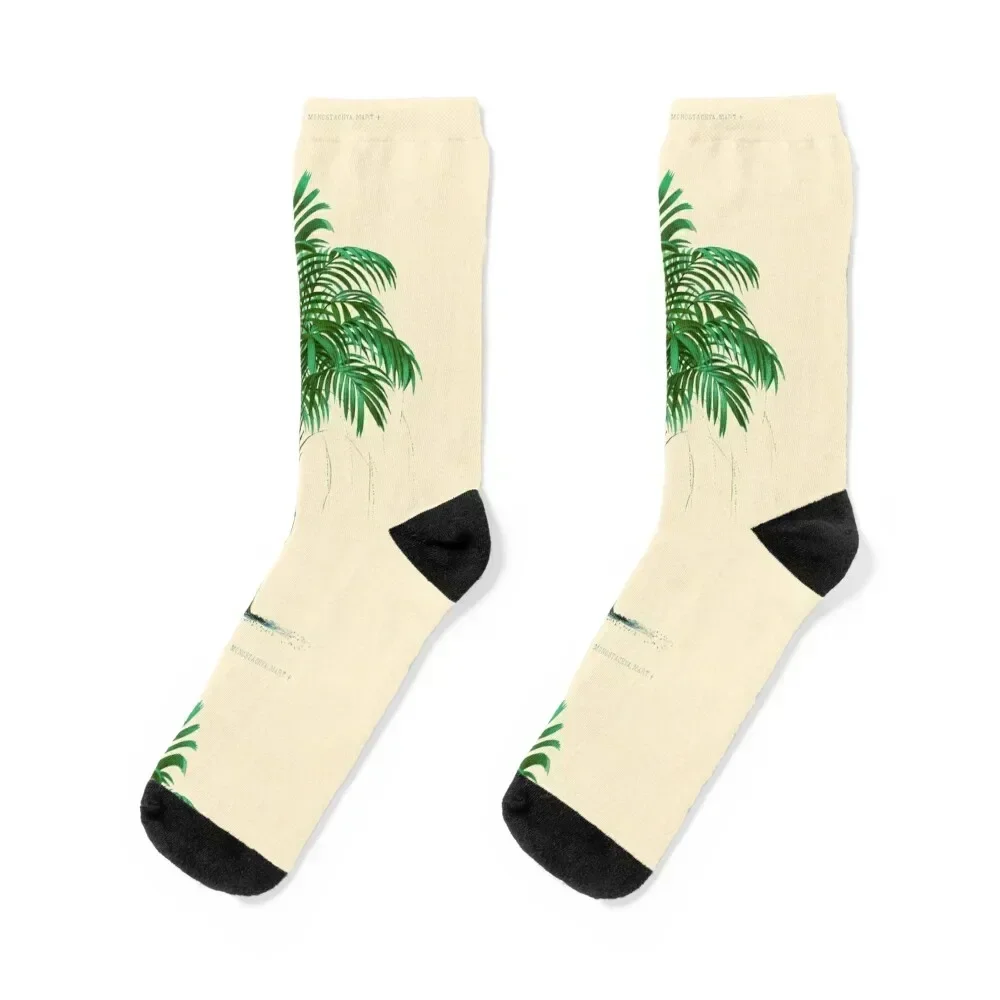 

Tall Vintage Palm Socks cool custom sports tennis Socks For Women Men's