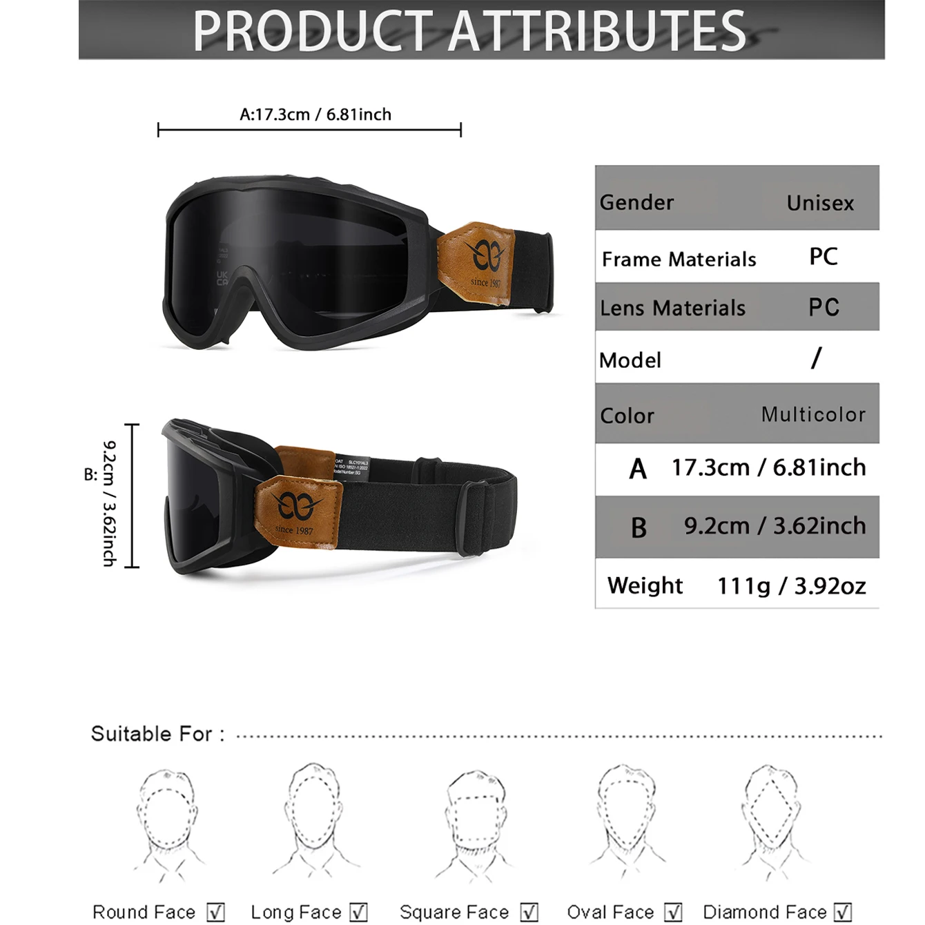 Men and Women's Anti-fog Motorcycle Goggles Fashion Windproof Adjustable Webbing Motorcycle Eyewear for Male and Female