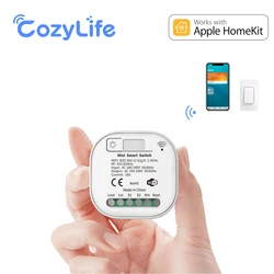 HomeKit WiFi + RF433 Mini Smart Switch 16A 2 Way Control Breaker Module  Timer Light Switches Support Alexa Alice SmartThings