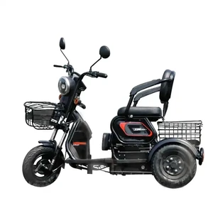 Mini -Elektromotorrad mit Stahlrahmen für ältere Menschen, 3 -Rad -Roller, Klappereien, Freizeit, neues Modell, 60 V, 500W, 2023 9 Haupt 3 -Rad -Mota -Verkauf - №4