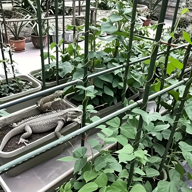 Pop 0 Stück Gurken-Rankgitter, A-förmiges Rankgitter für den Garten, abnehmbares Rankgitter, Pflanzen-Klettergestell für Kletterpflanzen xs63-fro