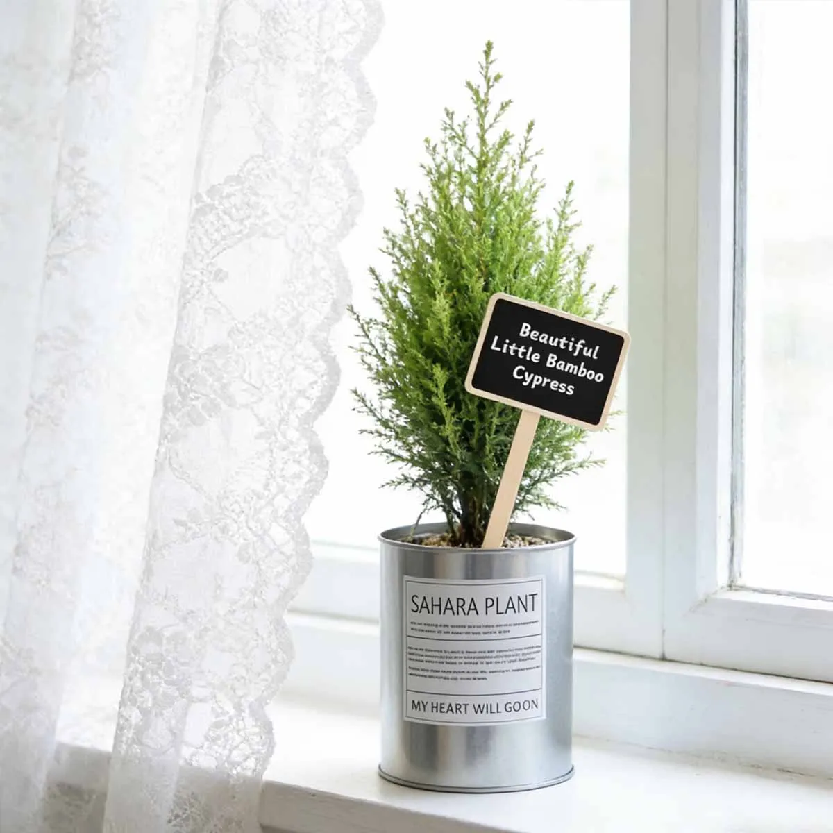 10pcs-Blackboard Flower Horticulture Succulent Plant Label Decoration Insert Accessories Small Blackboard Party Decoration