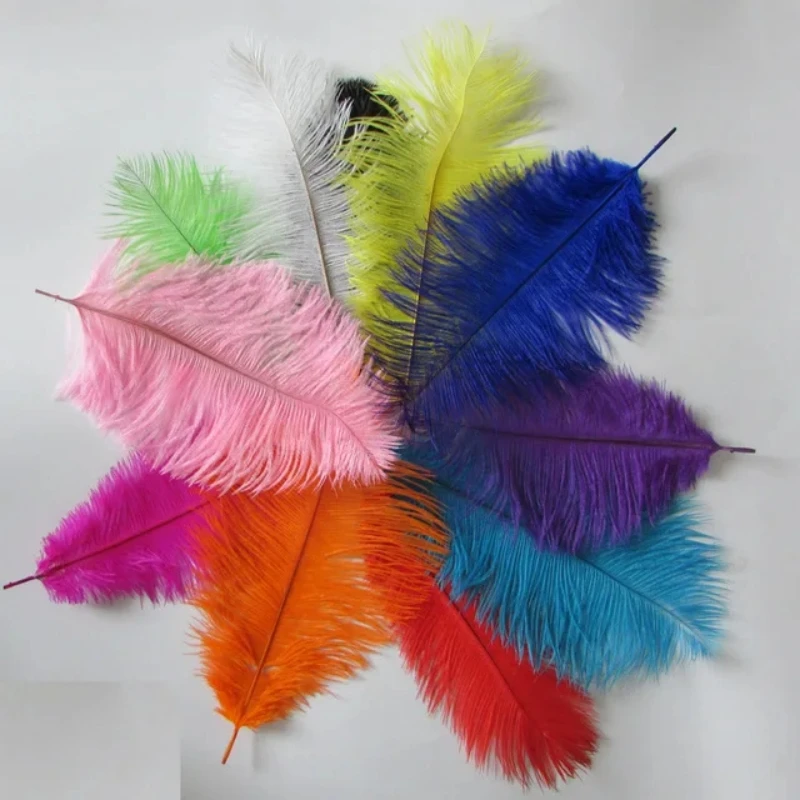 

Wholesale Hard rod 50pcs/lot multicolor for choose natural Ostrich Feathers 25-30cm /10-12" Wedding Christmas Decorations DIY