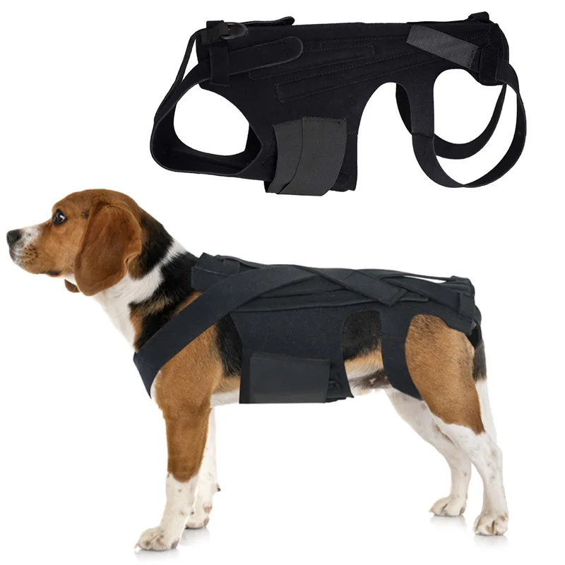 

Dog Back Brace Breathable And Comfortable Adjustable Vest Helps Pet for IVDD,Back Pain,Post Surgical Recovery and Rehabilitation