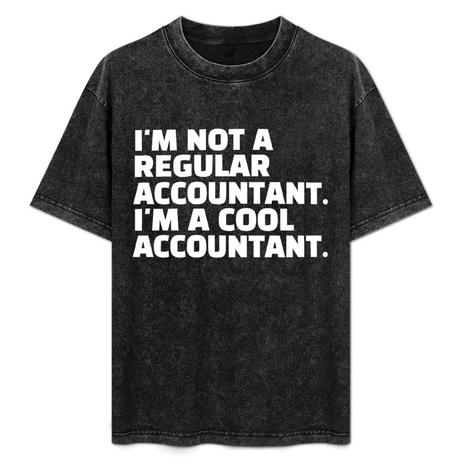 I'm Not A Regular Accountant I'm A Cool Accountant T-Shirt Outdoor Working T-Shirt