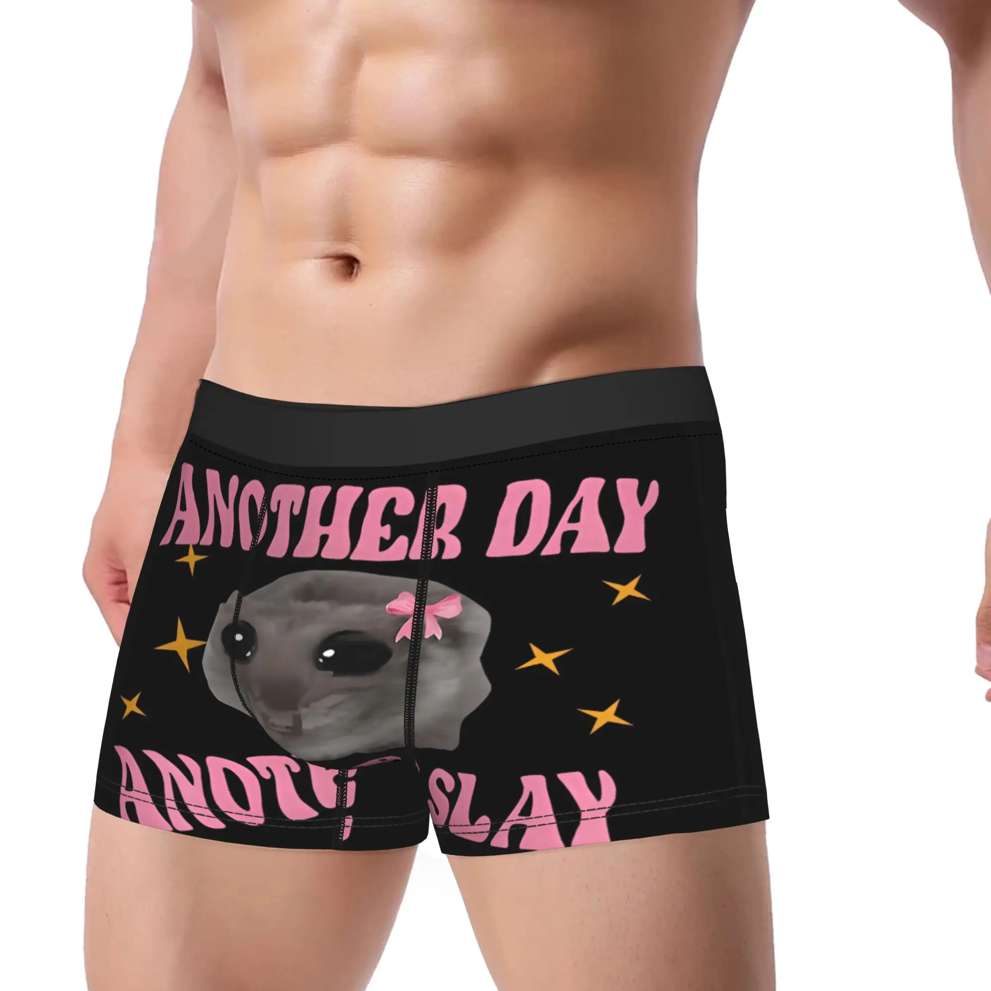 Hamster Another Day Another Slay Underwear  Man Underpants Pattern Breathable Boxershorts High Quality Boxer Brief Big Size