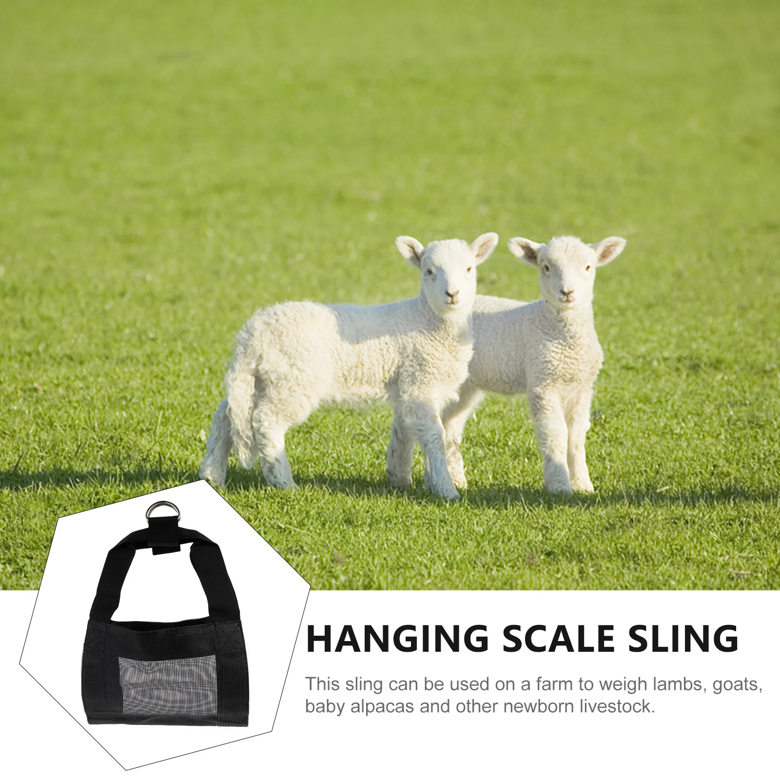 

Livestock Scale Sling Sturdy Nylon Material Best for Newborn Small Animals Calf Sling Small Animals Weighing Bag