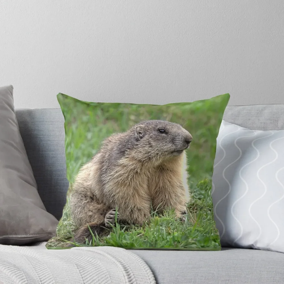 r5/ Finition 2024 : Marmotte de 3-4 face - Photo de André H?te Throw Pillow luxury home accessories Christmas Pillow Pillow