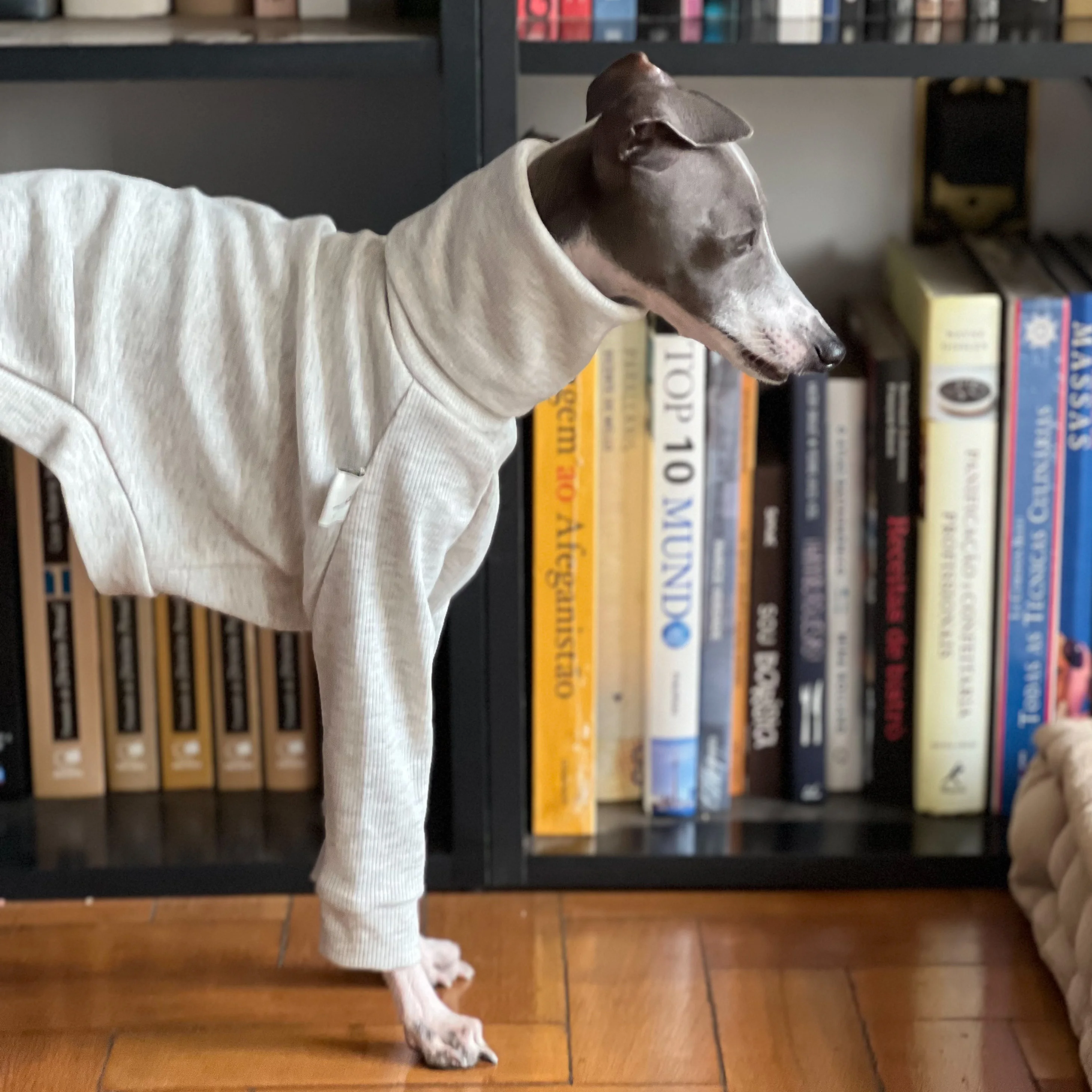 Whippet-ropa de cuello alto para mascotas, suave, gris, algodón, Galgo Italiano