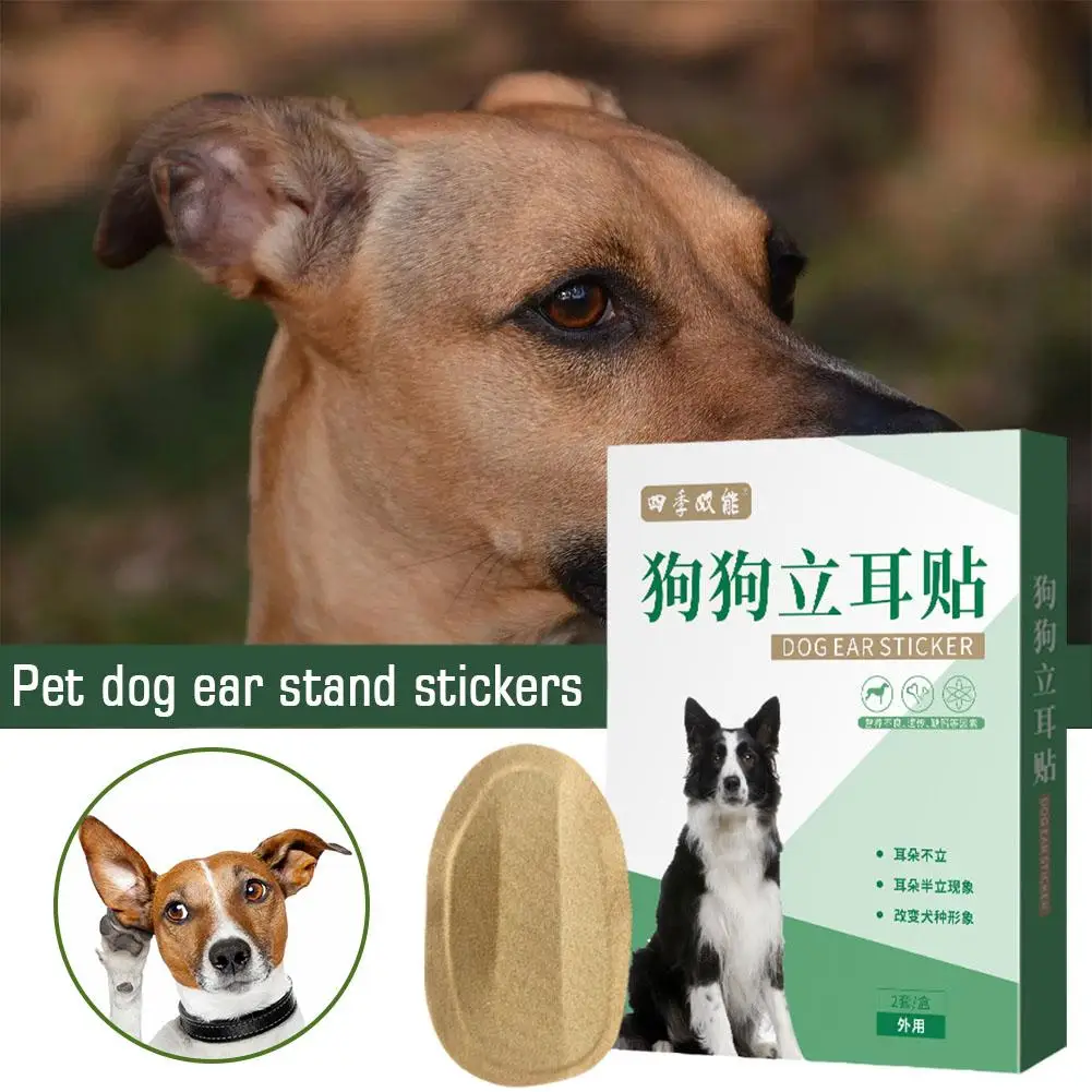 Pet Dog Ear Stand Stickers Free Standing Ear Correction Aid Stickers Large And Small Dogs Ear Stand Straightener Accessories