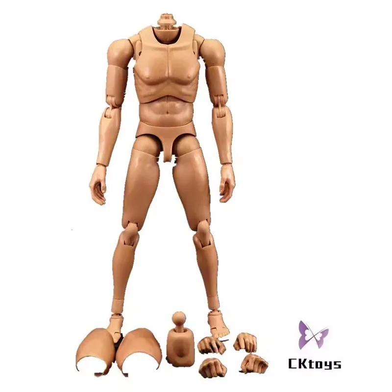 CKTOYS 1/6 Male Body Doll Narrow Shoulder Model for 12 Inch Action Toy Figures HT DAM Soldier Head Sculpt Accessories