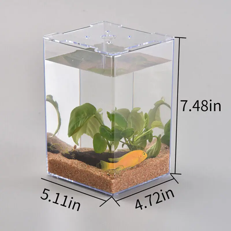 Petit aquarium carré transparent pour la décoration intérieure, récipient précieux pour poisson rouge, accessoire de bureau