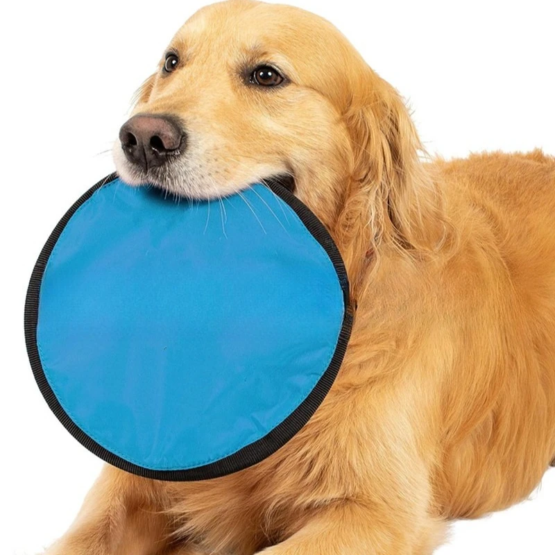 

Dog Training Flying Disc Casual Breathable Portable Flying Saucer Easy To Store and Clean Pet Training Toys Supplies