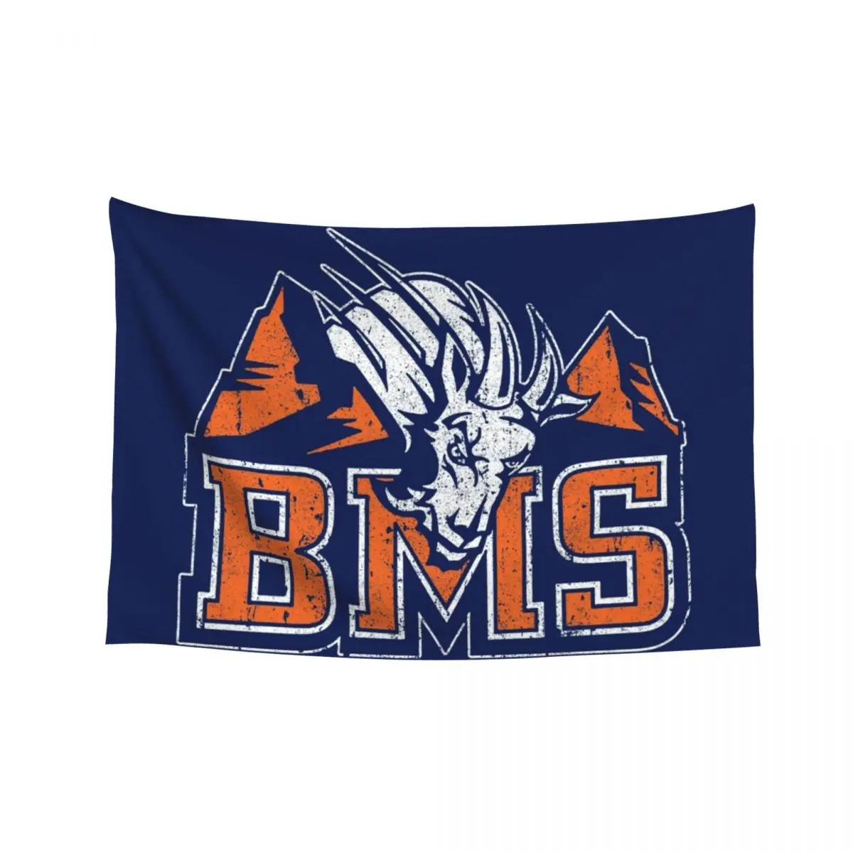 

BMS - Blue Mountain State Tapestry Decorative Wall Mural Room Decoration Aesthetic Living Room Decoration Tapestry