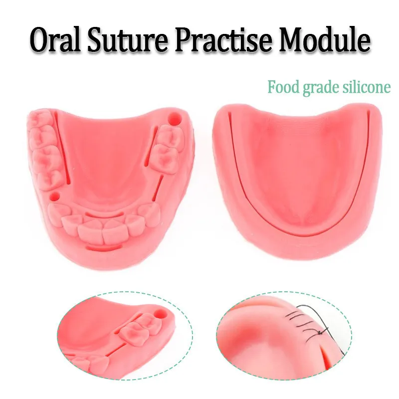 

2/4Pcs Gum Periodontitis Suture Training Module for Teaching Practice Silicone Pads