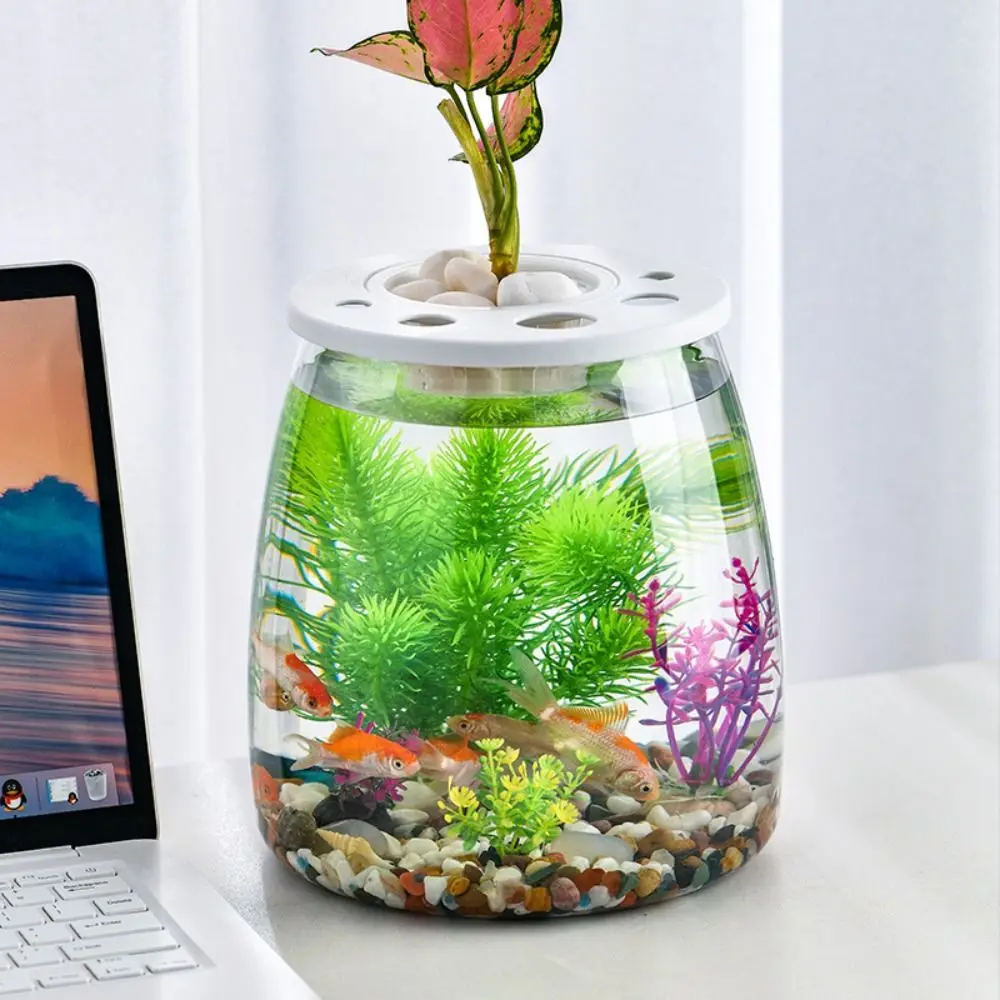 

Modern Design Transparent Small Clear Fish Tank Shatterproof Plastic Turtle Aquarium With Lid Goldfish Tank Office Decor