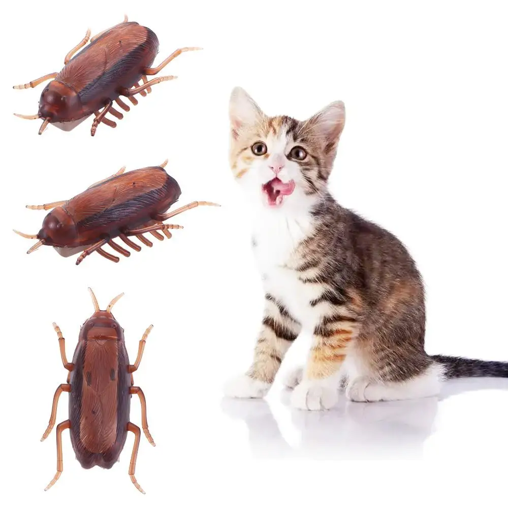 Kitten Electronic Novelty Gag Toys Cockroach Kids Training Play Toy Battery