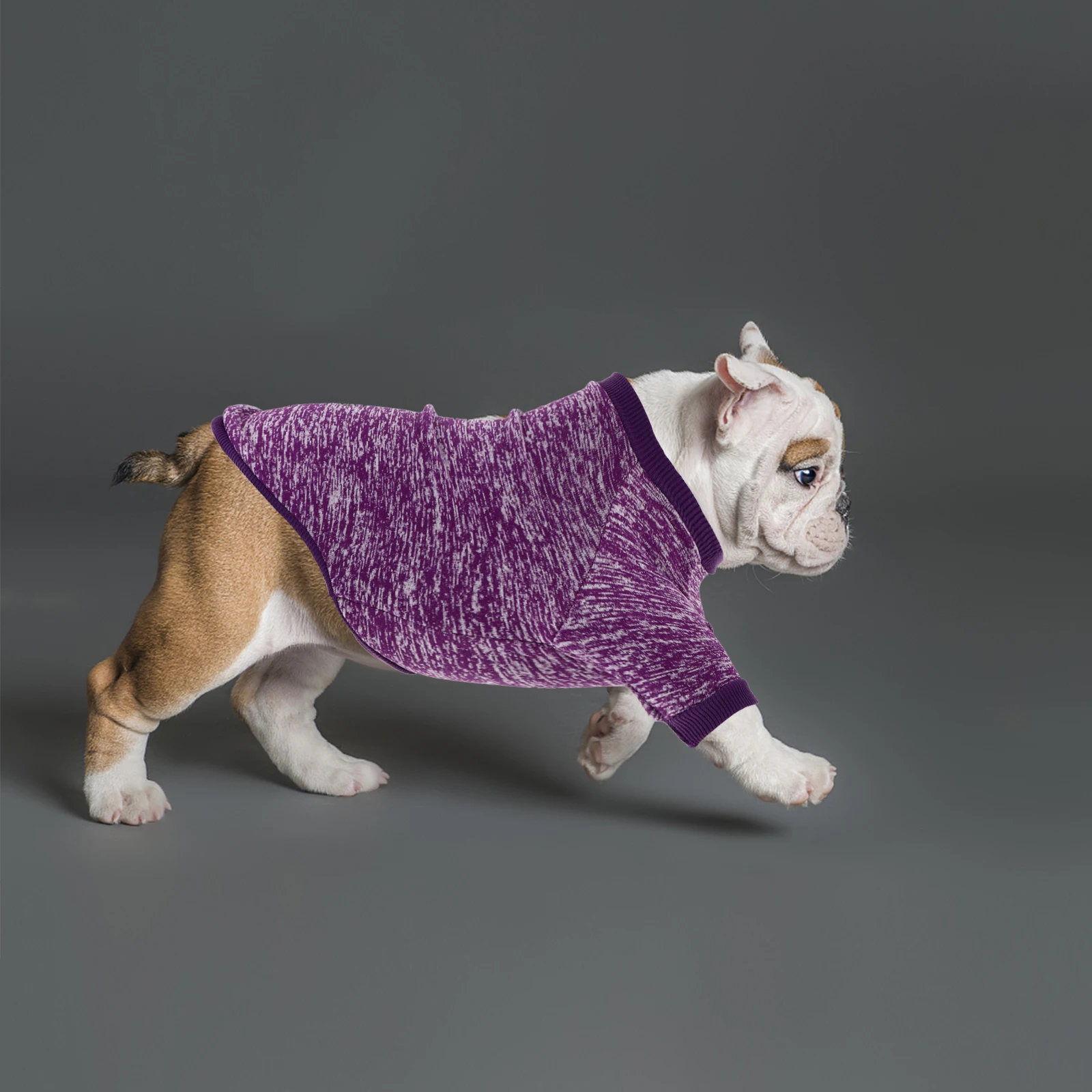 

3pcs Pet Costume High Quality Cotton Dog Funny Clothing Winter Coat Small Stylish Apparel Breathable Party Supplies Dog