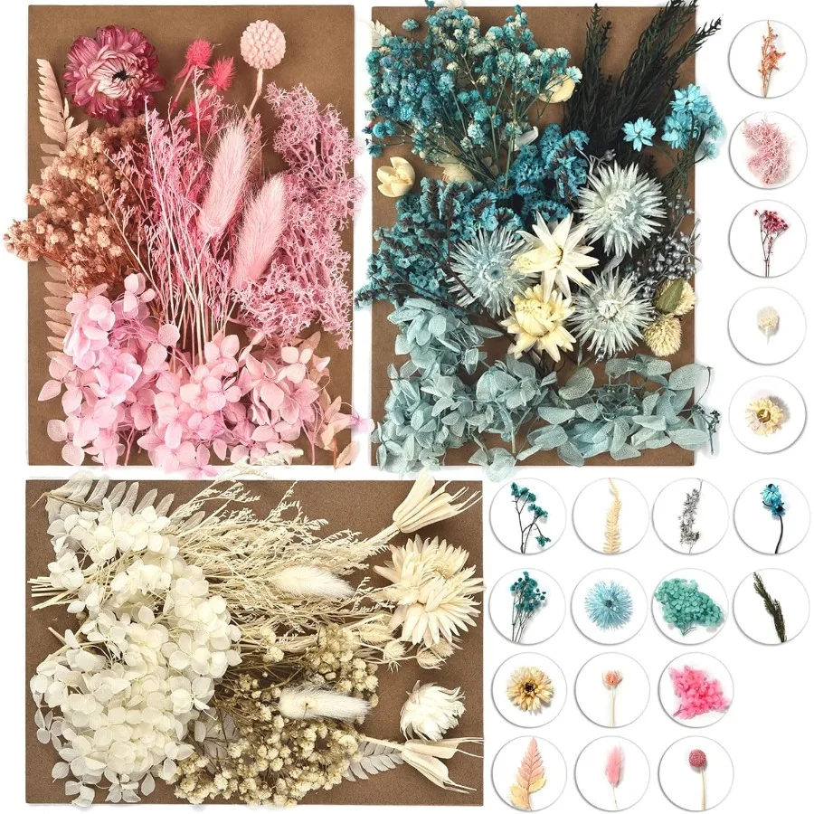 달라란 3팩 압화 캔들 제작용 DIY 건조 꽃 여러 종류의 천연 압화 다채로운 장식용 건조 꽃