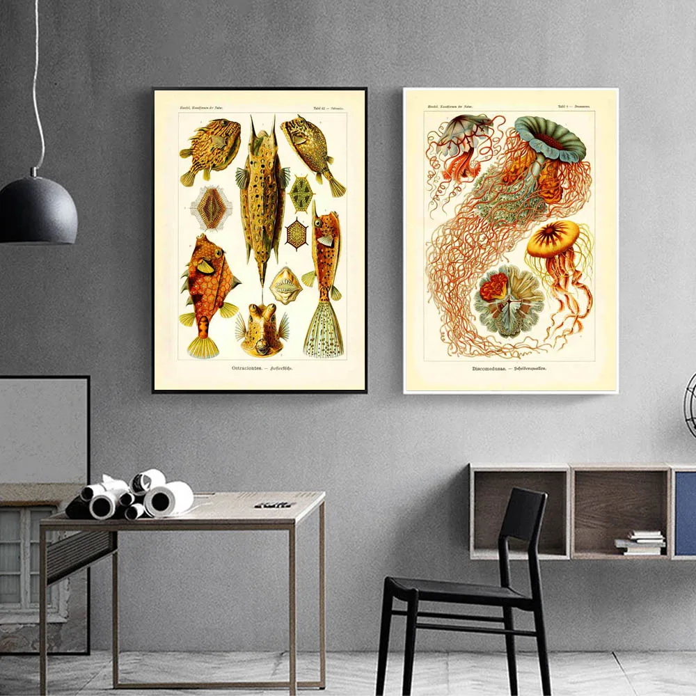 13style Nordic RETRO art canvas painting Marine Bioscience poster kitchen living room corridor wall painting home decoration