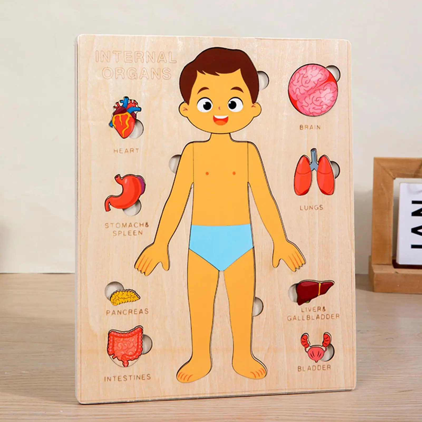 Livro de partes do corpo para crianças de 1 a 3 anos, quebra-cabeças educativos de madeira, brinquedos científicos para crianças pequenas, viagens, meninos, meninas, jovens