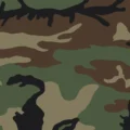 Woodland