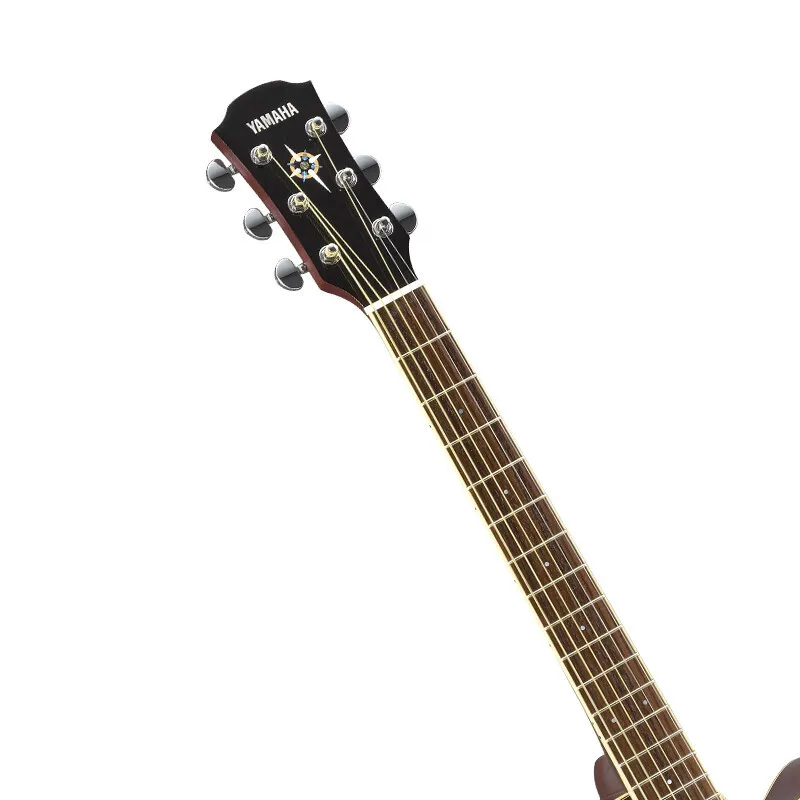 

Acoustic guitar