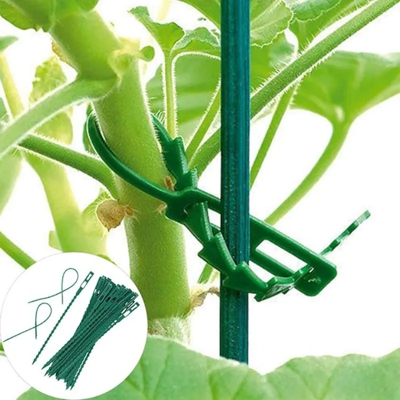 ربطات كابل نباتية بلاستيكية قابلة للتعديل، ربطات عنق ذاتية القفل قابلة لإعادة الاستخدام، ربطات كابلات نباتية للحديقة، مشابك مشبك الطماطم الجذعية #2