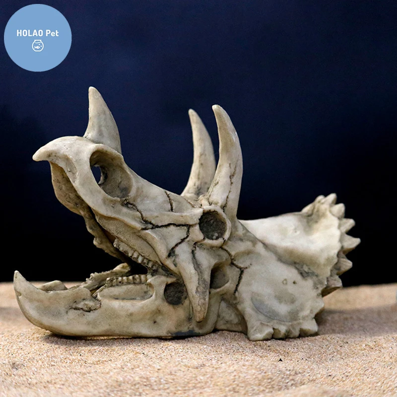 Animals Skull Fish Tank Fossil Dinosaur Ornaments Aquarium Rhinoceros Bone Decoration Fishbowl Crocodile Jellyfish Carp Turtle