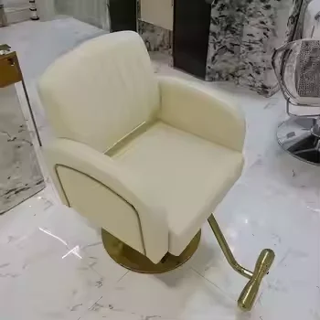 Barbershop Professional Hair Salon Hairdressing Multifunctional Barber Chair