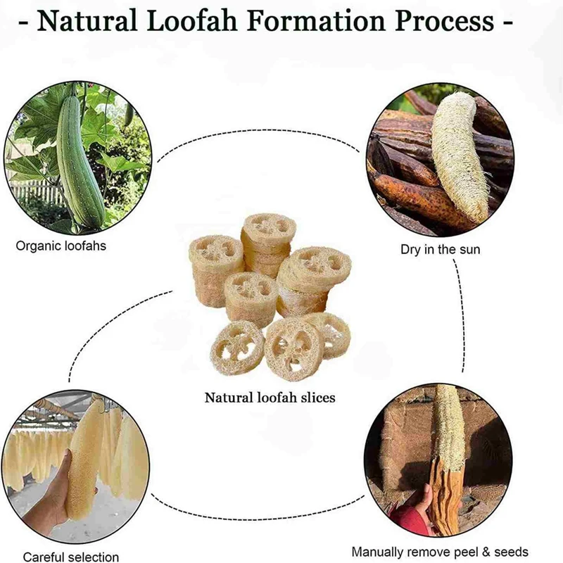 Esponja de loofah natural para homens e mulheres, Luffa orgânica, esfoliante de banho, purificador corporal, rosto traseiro para adultos, chuveiro