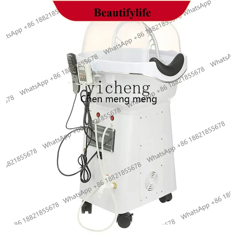 AB02 Zf Head Therap… - image