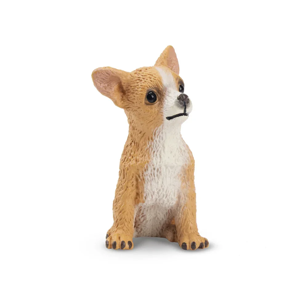 Simulation Dog Pet Animal Model Toy Mini  Sitting Fawn Chihuahua Puppy Figures Dolls Action Figurines Toys For Children Gift