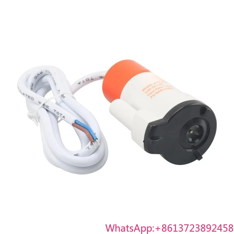 

12LPM Mini Submersible Pump for RV Water Supply System Customizable Mini Electric Submersible Pump