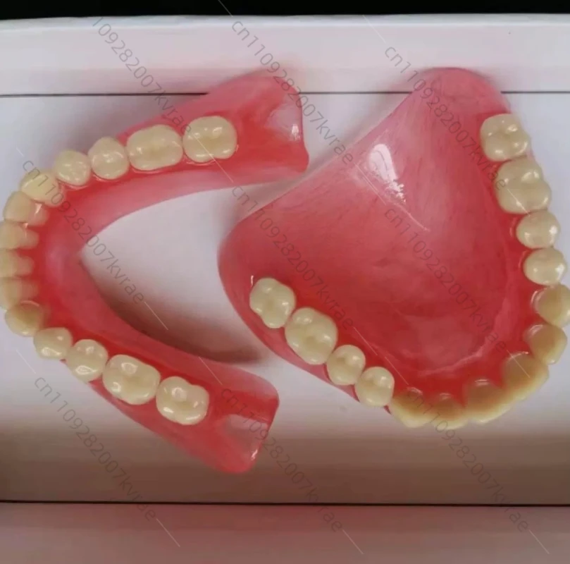 wholesale-full-mouth-denture-sample-models-and-elderly-full-mouth-and-half-mouth-tooth-models-are-available