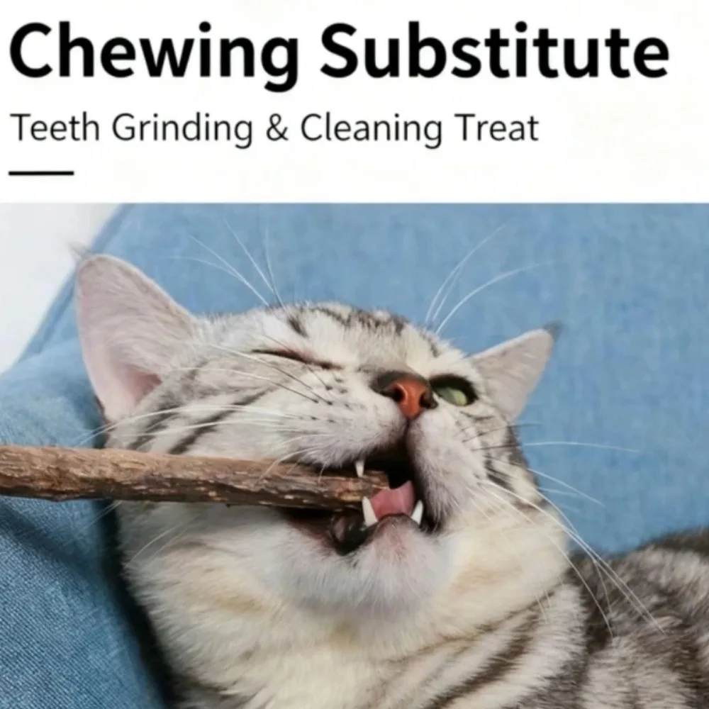 Thumbnail 2 - #61 Best Cat Toys to Buy In 2026