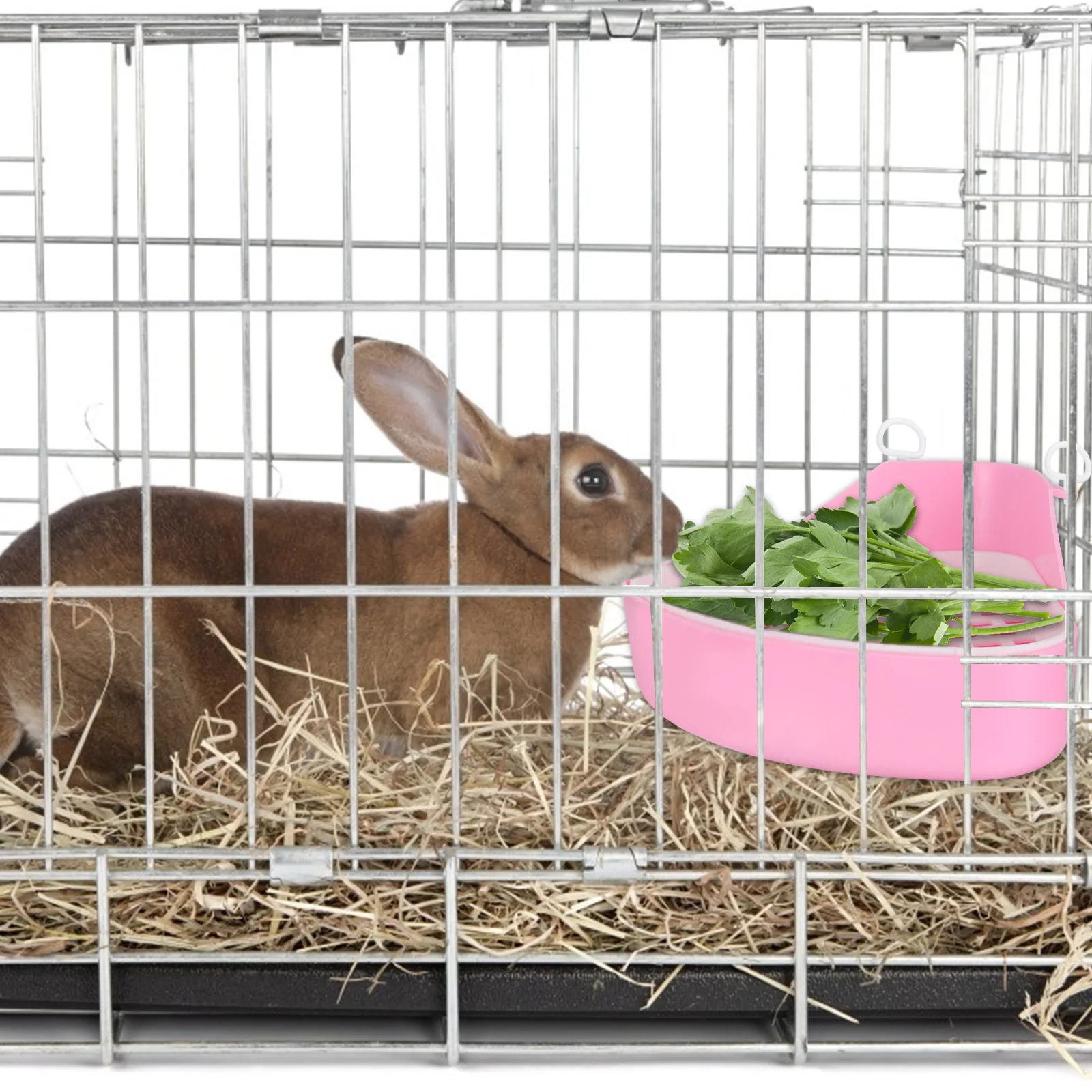 

Plastic Rabbit Toilet Box Durable Wear-Resistant Material Easy To Color Portable Pad Holder For Home Pet Store Use
