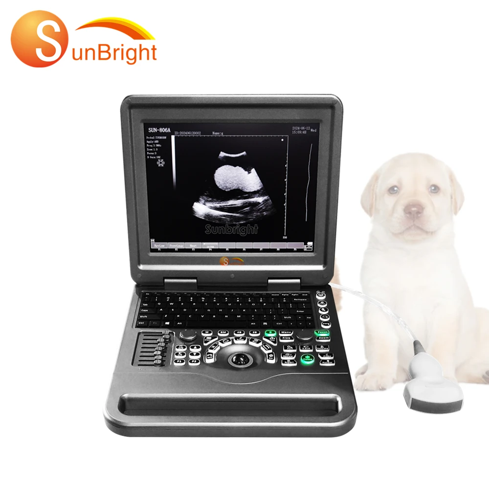 

Veterinary medical therapy physiotherapy instrument portable cardiac ultrasound pocket