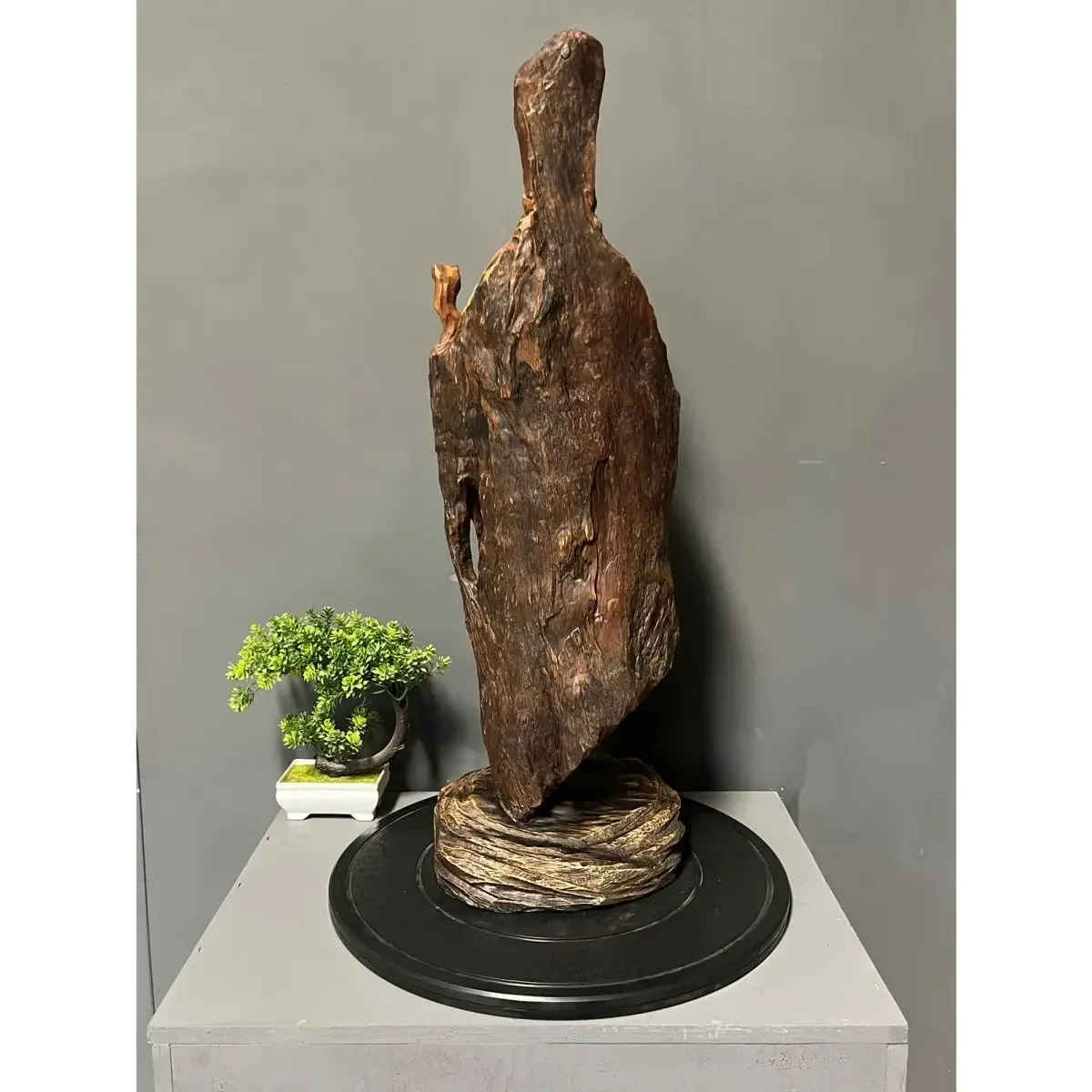 Camphor wood carving ornament wood root carving home decoration crafts collection