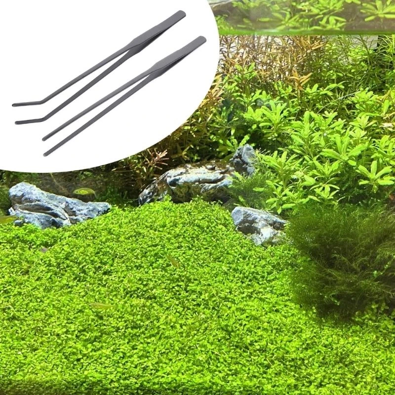 

2pcslong обрабатывает аквариумы