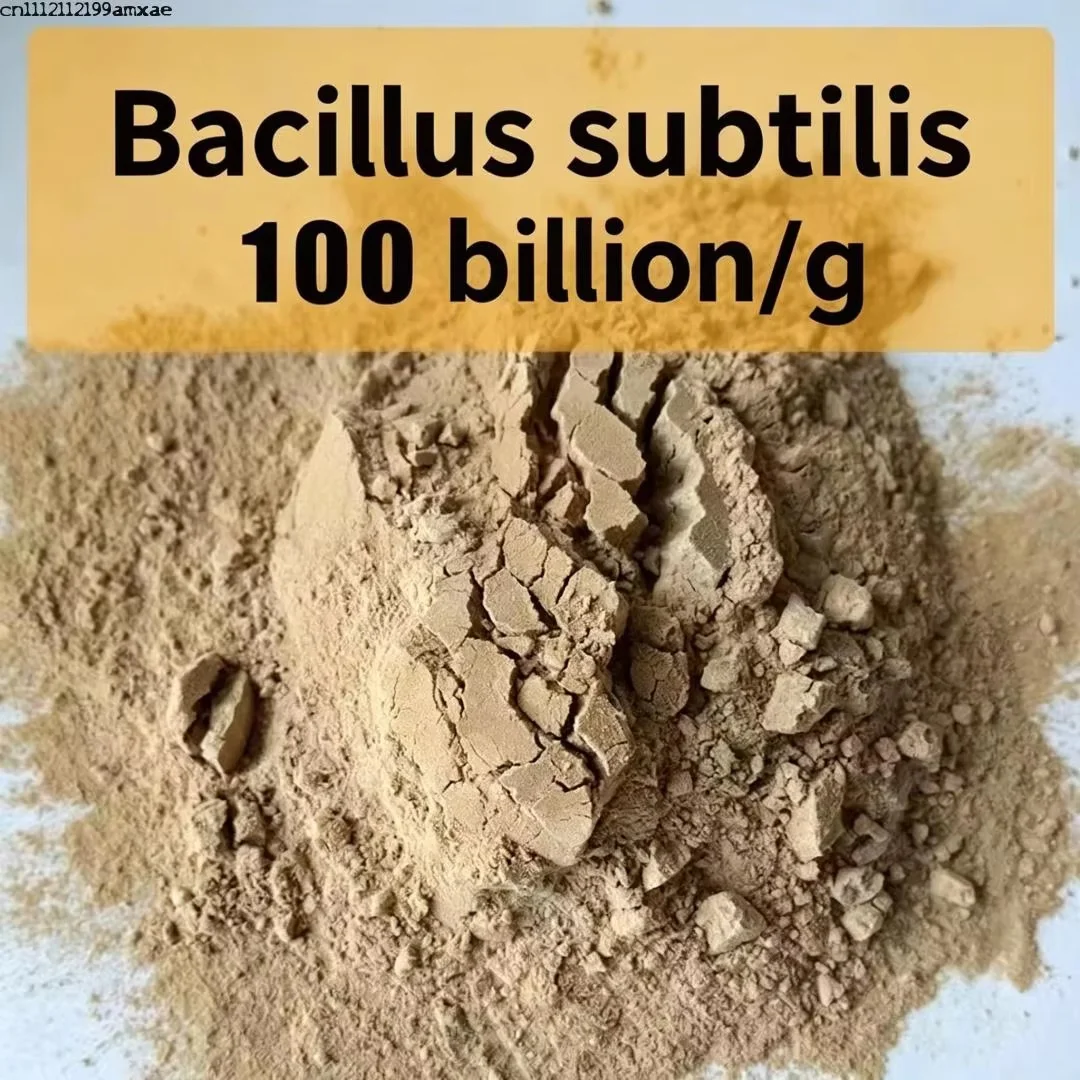 High Purity Bacillus Subtilis For Plant Growth, Water Purification & Livestock Feed Supplement Organic Fertilizer