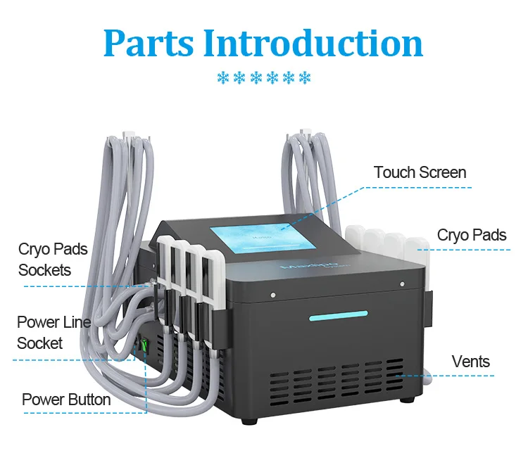 Professional 2026 EMS Body Sculpting Machine 8 Cryo Pads Criolipolisis Cold Therapy Fat Removal Equipment Non-Surgical Weight
