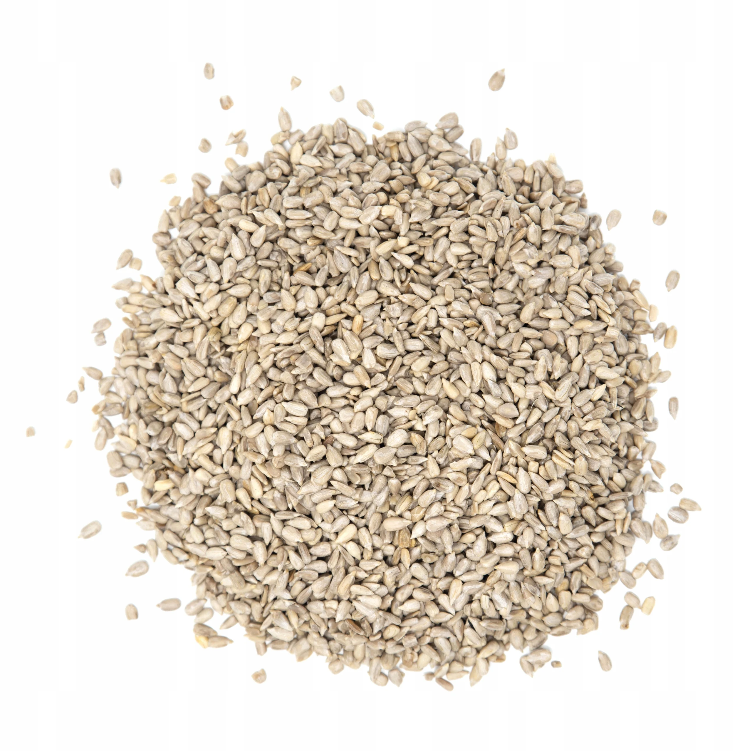 Bild 5: Sonnenblumenkernbrot, ganz, 500g